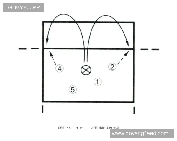 西安排球队的排球战术与转换体系解析及应用探讨