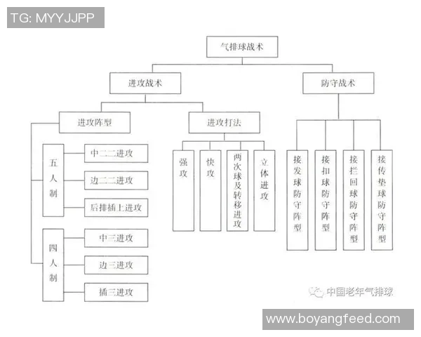 西安排球队在奥运会中的节奏掌控与战术执行深度分析