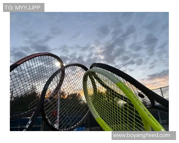 西安网球队在欧锦赛中的精彩表现与状态分析